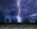 Powerful lightnings in dark stormy sky, flock of flying ravens, Royalty Free Stock Photo