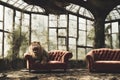 Powerful lion roaring in a majestic and regal pose on a red Victorian-style couch in an abandoned greenhouse
