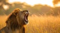 Powerful lion roars majestically in the vast savanna, asserting dominance over its territory, Ai Generated