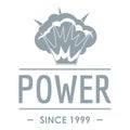 Powerful logo, simple gray style