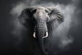 Powerful Majesty: A closeup portrait of a majestic African elephant standing strong in the wild, showcasing its Royalty Free Stock Photo