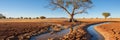 Powerful metaphor of drought and climate change lifeless trees on cracked and arid earth