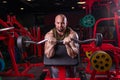 Powerful muscular man doing biceps exercise with barbell on the bench Royalty Free Stock Photo