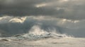 Powerful ocean waves breaking. Wave on the surface of the ocean.