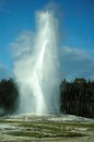 Powerful old faithful geyser