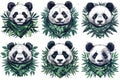 Powerful Pandas Wearing Green Bandanas