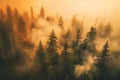 A powerful photograph of a forest engulfed in thick smoke from wildfires, emphasizing the urgent need for forest fire prevention