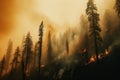 A powerful photograph of a forest engulfed in thick smoke from wildfires, emphasizing the urgent need for forest fire prevention