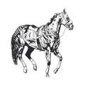 A powerful racing horse in a complete outfit, illustrated in black and white vector art