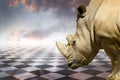 Powerful rhino.gamero chess, pieces marble floor