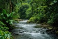 A powerful river flows through a vibrant, dense forest, creating a breathtaking scene surrounded by lush green foliage, A river Royalty Free Stock Photo