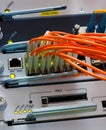 Powerful router with 1G and 10G line cards