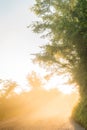 Snowy mountains panorama on a bright day Royalty Free Stock Photo