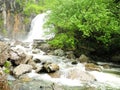 A powerful stream of a large waterfall flows down from the mountain into a rocky river bed overgrown with tall bushes Royalty Free Stock Photo