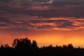 Powerful sunset over dark forest siuoulette Royalty Free Stock Photo