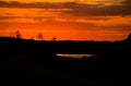 powerful sunset in red, yellow and golden light. Meadow in the foreground