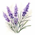 Powerful Symbolism: Lavender Flowers In Watercolor Illustration