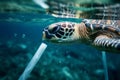 A powerful underwater shot of a plastic straw lodged in the nostril of a sea turtle, serving as a reminder of the harmful effects