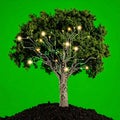 Eco-Tech Innovation - The Digital Growth Tree Royalty Free Stock Photo