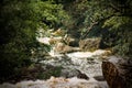 Powerful water stream through the forest in Kampot, Cambodia