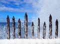 powerful waves breaking over sharp wooden spikes Royalty Free Stock Photo