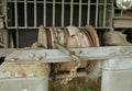 A powerful winch with a metal cable, chain and hook on the front bumper of a military cross-country truck of the Second