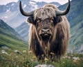 Powerful yak standing near green bushes.