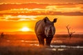 Powerfull African rhino in the savanna at sunset. Amazing African Wildlife. Generative Ai Royalty Free Stock Photo