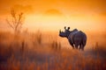 Powerfull African rhino in the savanna at sunset. Amazing African Wildlife. Generative Ai Royalty Free Stock Photo