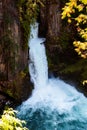 Powerfull Toketee falls in Oregon Royalty Free Stock Photo