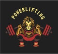 Powerlifting barbell squat