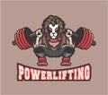 Powerlifting barbell squat