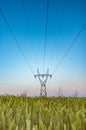 The powerline on the field Royalty Free Stock Photo