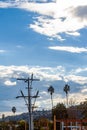 Powerline and pole with palm trees and construction, against hillside