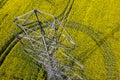 Powerlines on colza field Royalty Free Stock Photo