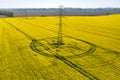 Powerlines on colza field Royalty Free Stock Photo