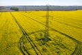 Powerlines on colza field Royalty Free Stock Photo