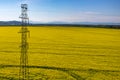 Powerlines on colza field Royalty Free Stock Photo