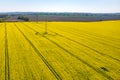 Powerlines on colza field Royalty Free Stock Photo