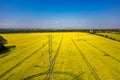 Powerlines on colza field Royalty Free Stock Photo