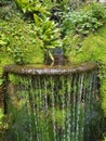 Powerscourt Estate in Ireland. Japanese Gardens