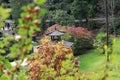 Powerscourt Estate, County Wicklow - Japanese garden - Ireland nature tours - No. 3 garden in world
