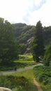 Powerscourt waterfall