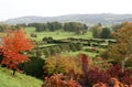 Powis castle garden in Autumn, Wales, England