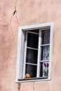 Poznan, Poland - August 09, 2021. Dog toy teddy bear looking out of opened window