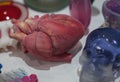 Real print of the heart on a 3d printer