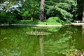 Poznan. Trees, turtle, duck reflected in water, water lilies Royalty Free Stock Photo