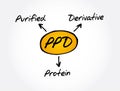 PPD - Purified Protein Derivative acronym, medical concept