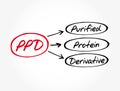 PPD - Purified Protein Derivative acronym, medical concept background