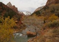 The Virgin River, Zion National Park, Utah Royalty Free Stock Photo